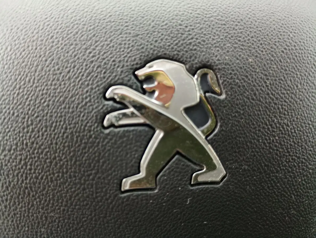Peugeot 2008 usata a Ravenna (16)