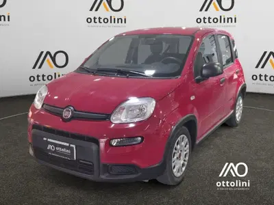 Fiat Panda Cross Cross 1.0 FireFly S&S Hybrid del 2024 usata a Cagliari