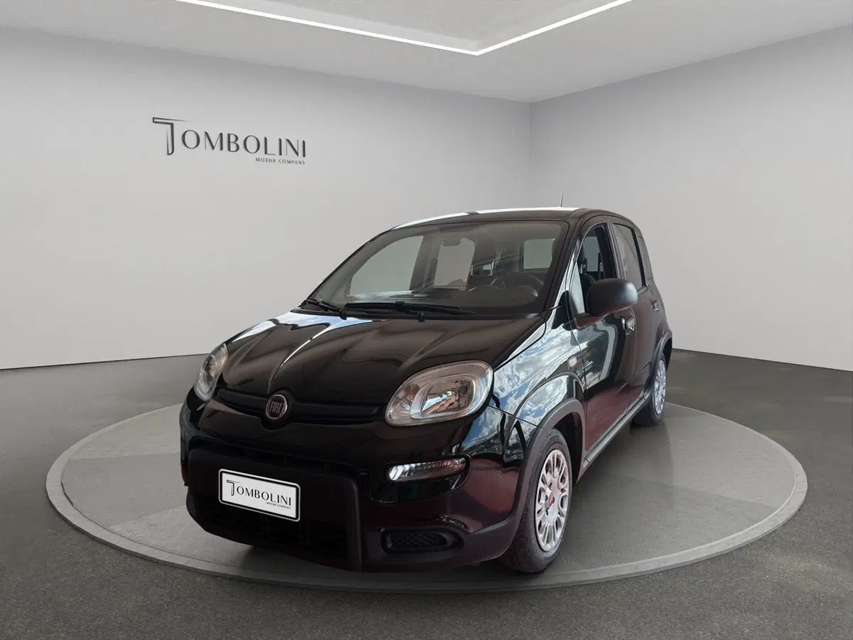 Fiat Panda usata a Perugia