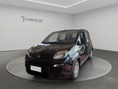 Fiat Panda 1.0 FireFly S&S Hybrid City Cross del 2023 usata a Perugia