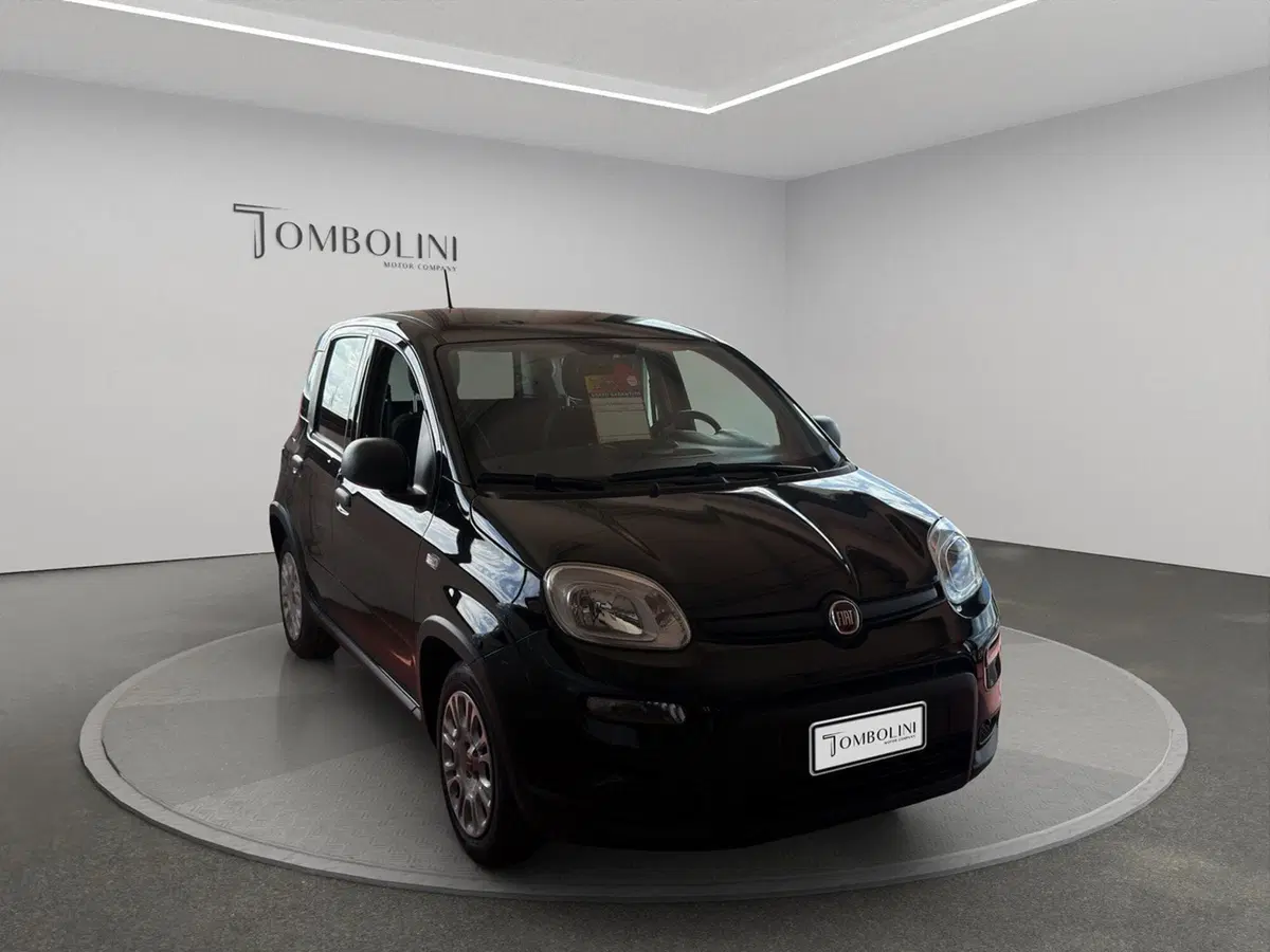Fiat Panda usata a Perugia (2)