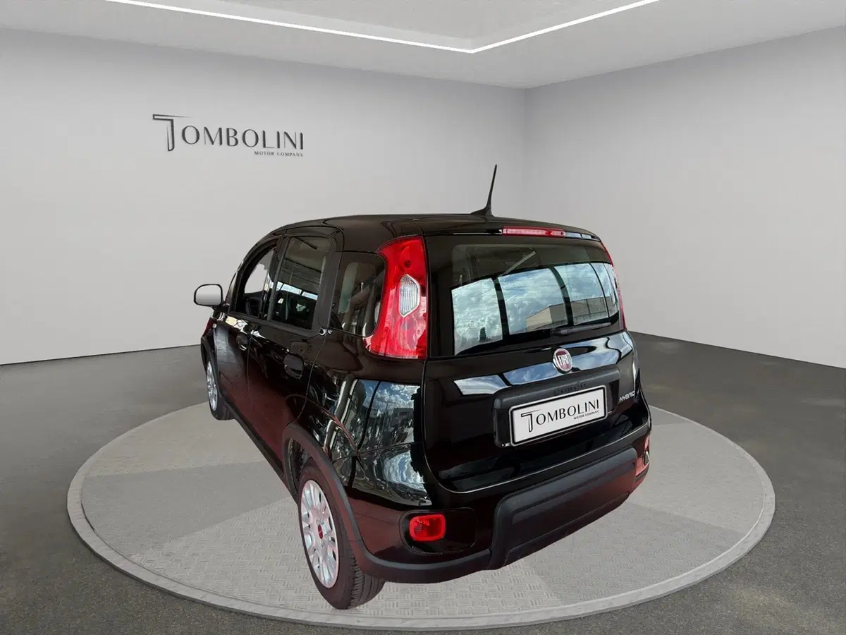 Fiat Panda usata a Perugia (6)