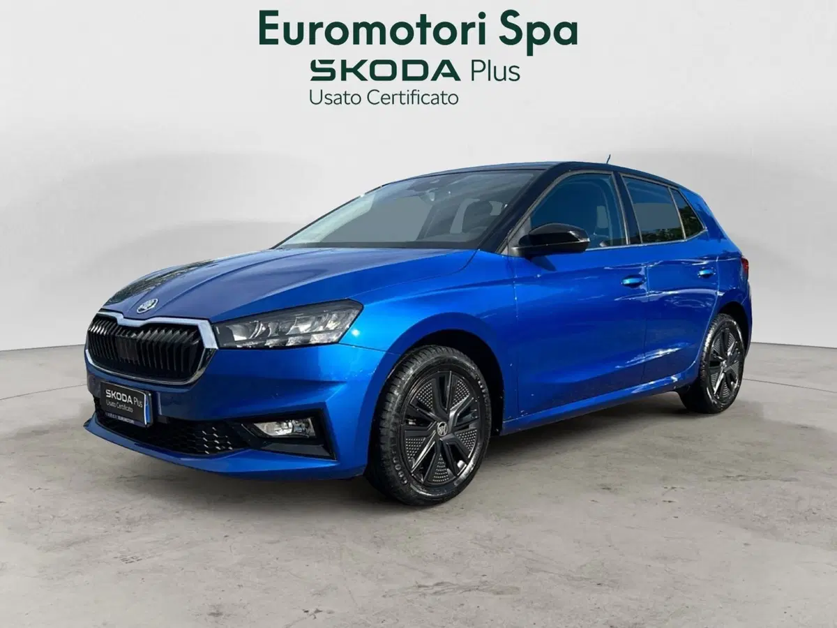 Skoda Fabia usata a Grosseto