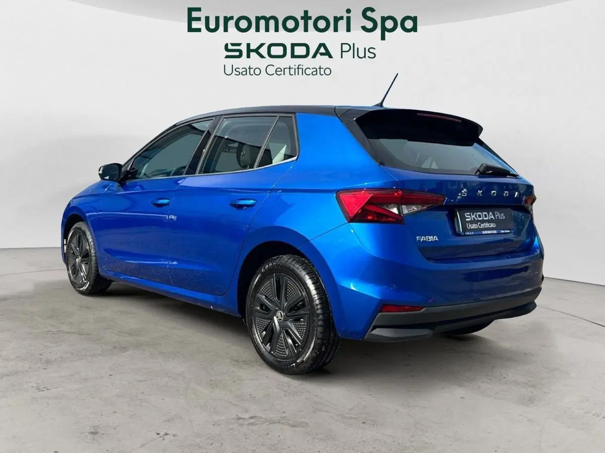 Skoda Fabia usata a Grosseto (3)