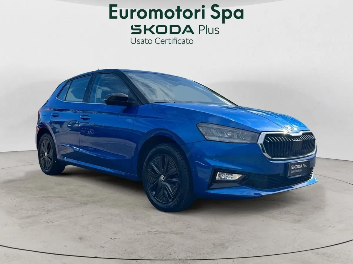 Skoda Fabia usata a Grosseto (7)