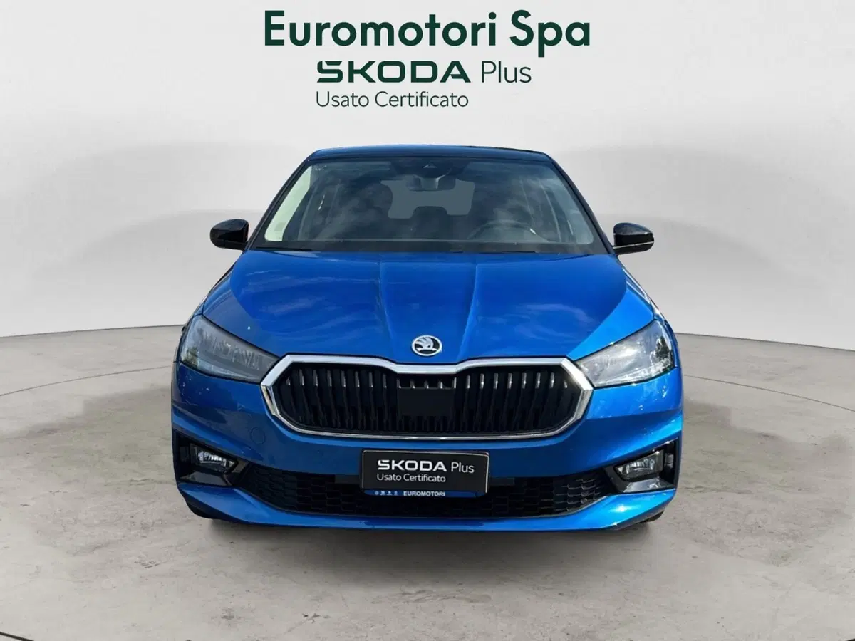 Skoda Fabia usata a Grosseto (8)