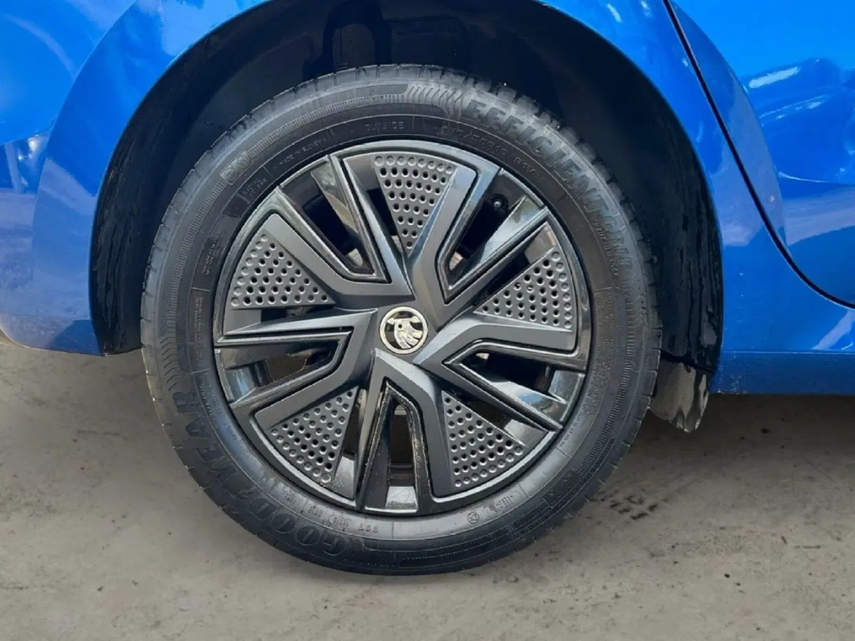 Skoda Fabia usata a Grosseto (9)