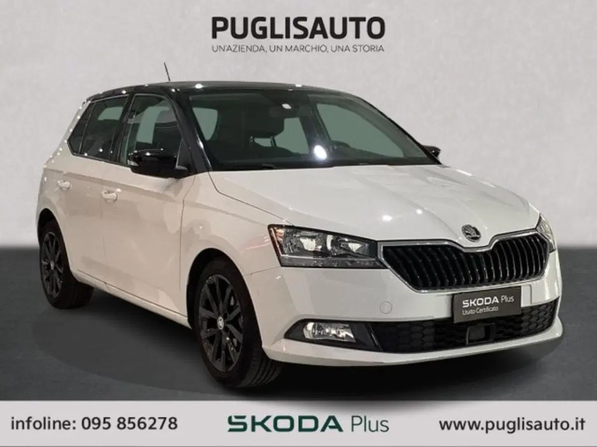 Skoda Fabia usata a Catania