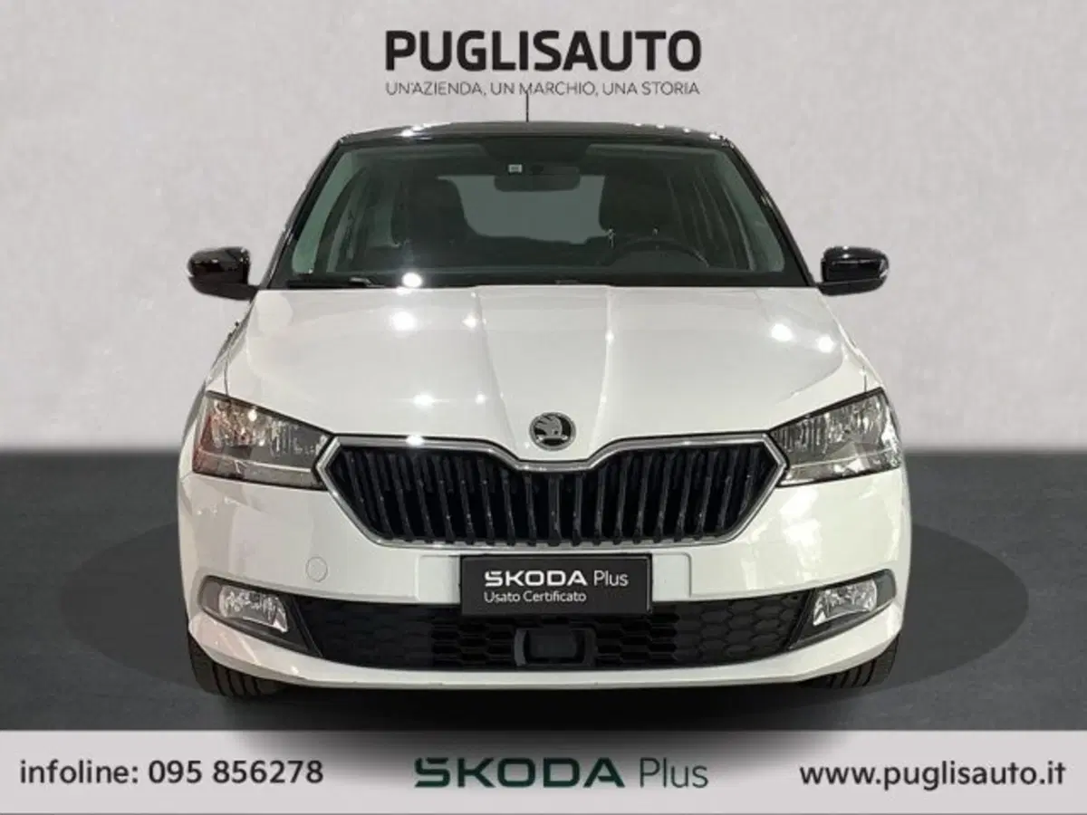 Skoda Fabia usata a Catania (2)