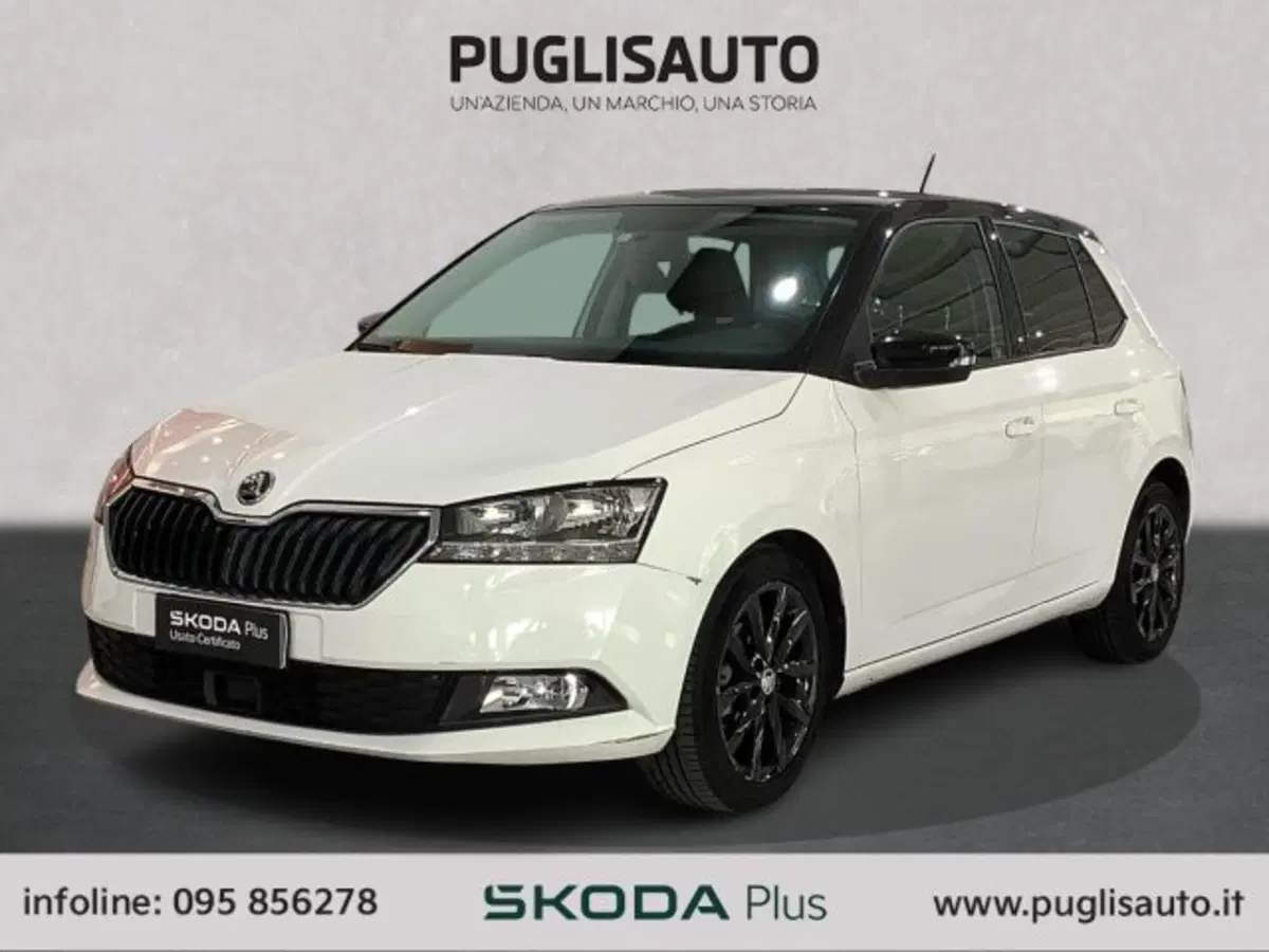 Skoda Fabia usata a Catania (3)