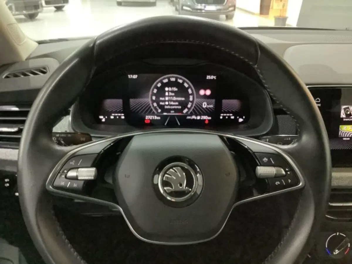 Skoda Kamiq usata a Catania (18)