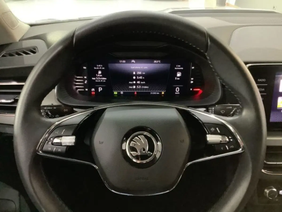 Skoda Kamiq usata a Catania (18)