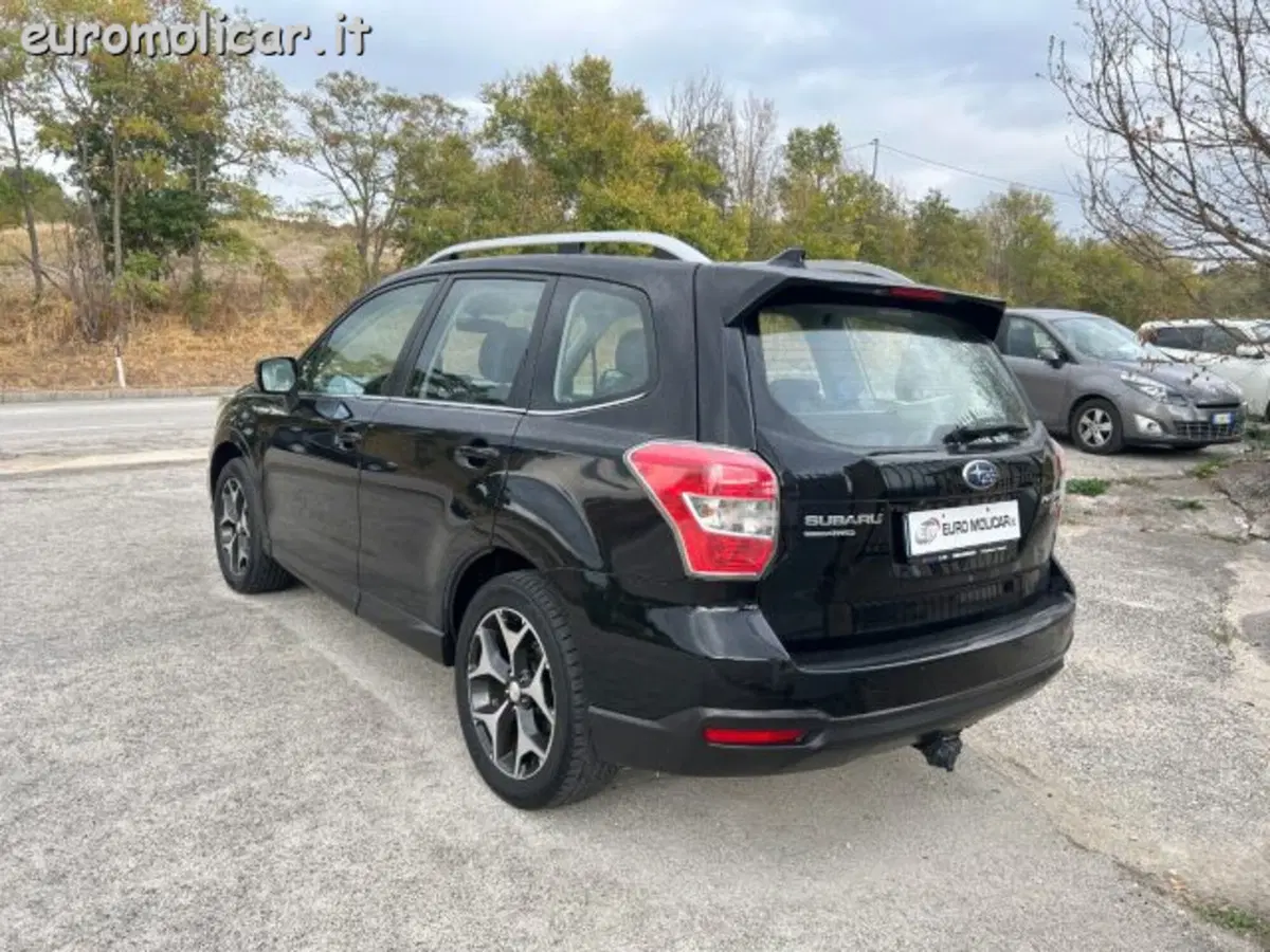 Subaru Forester usata a Campobasso (11)