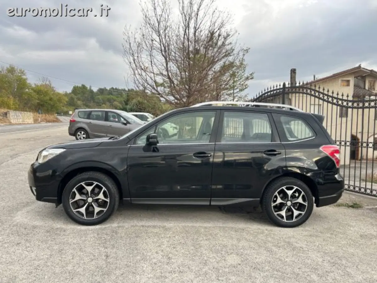 Subaru Forester usata a Campobasso (13)