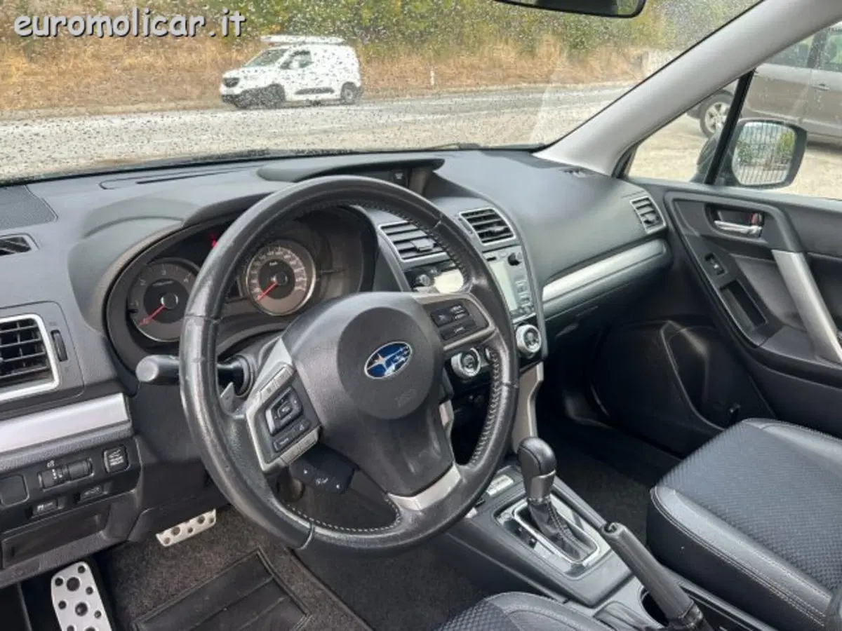 Subaru Forester usata a Campobasso (15)