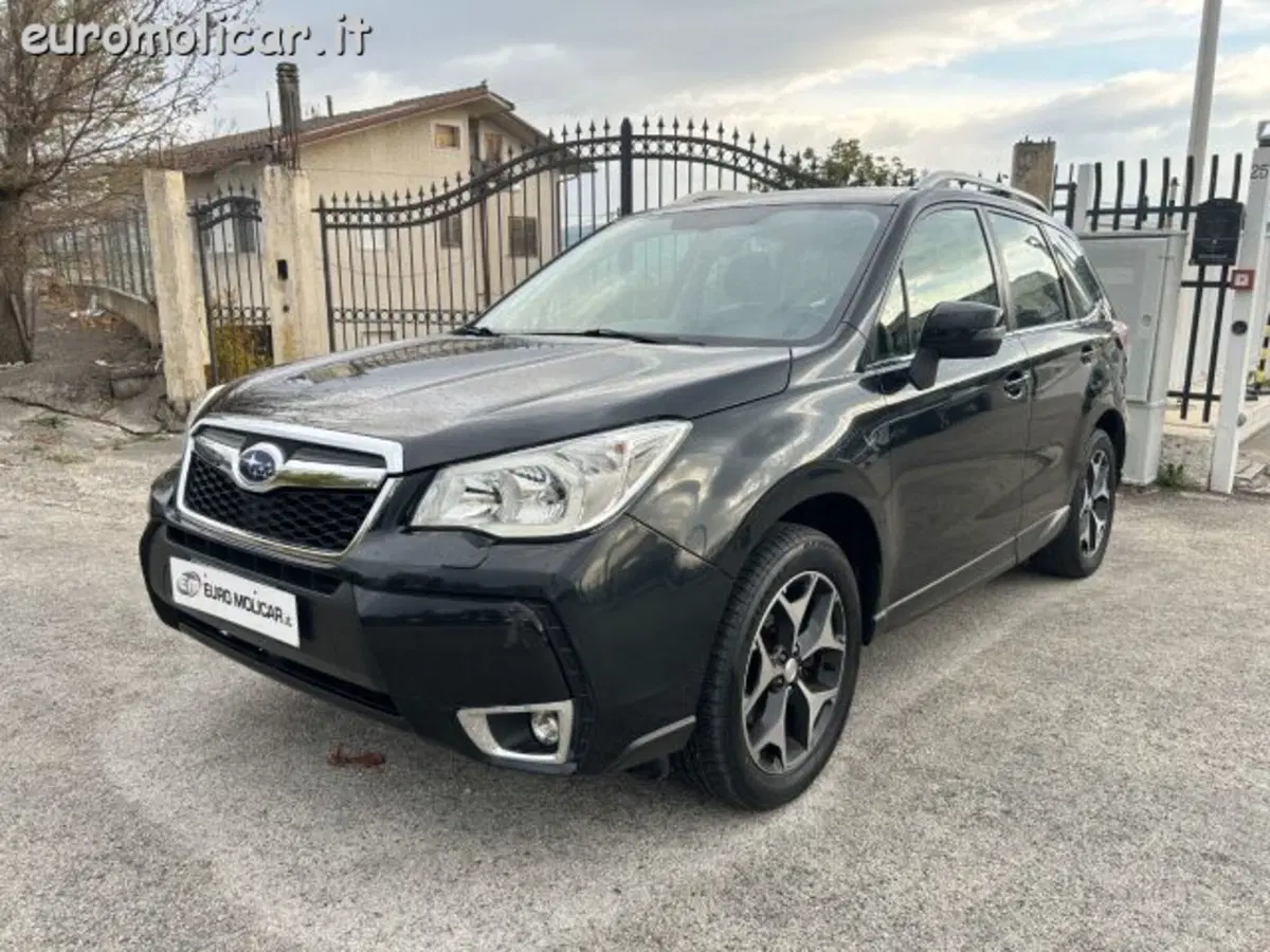 Subaru Forester usata a Campobasso (2)
