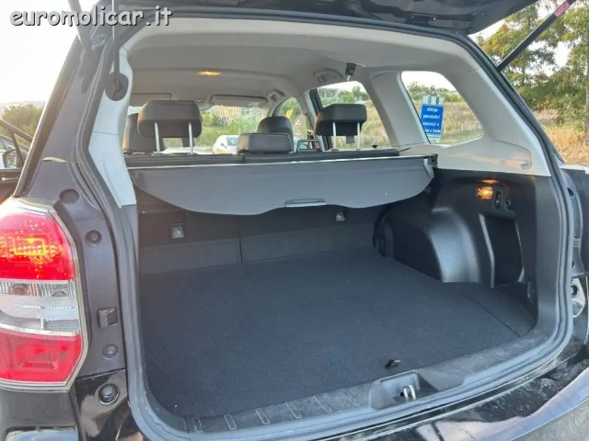 Subaru Forester usata a Campobasso (20)