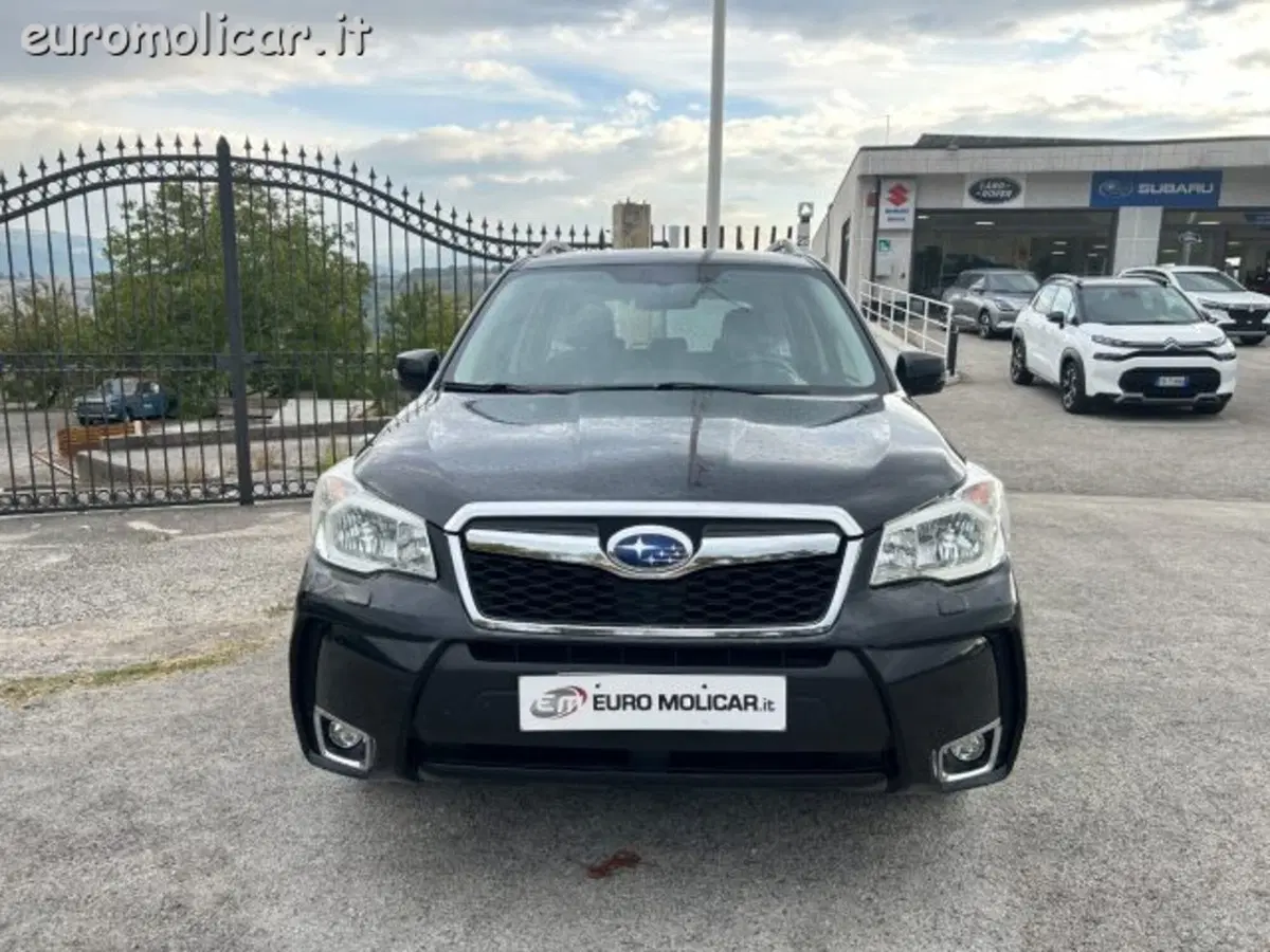 Subaru Forester usata a Campobasso (3)