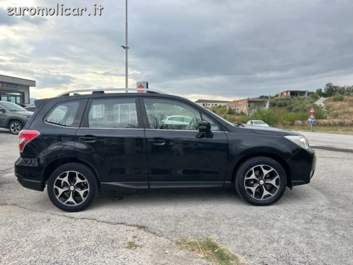 Subaru Forester usata a Campobasso (7)