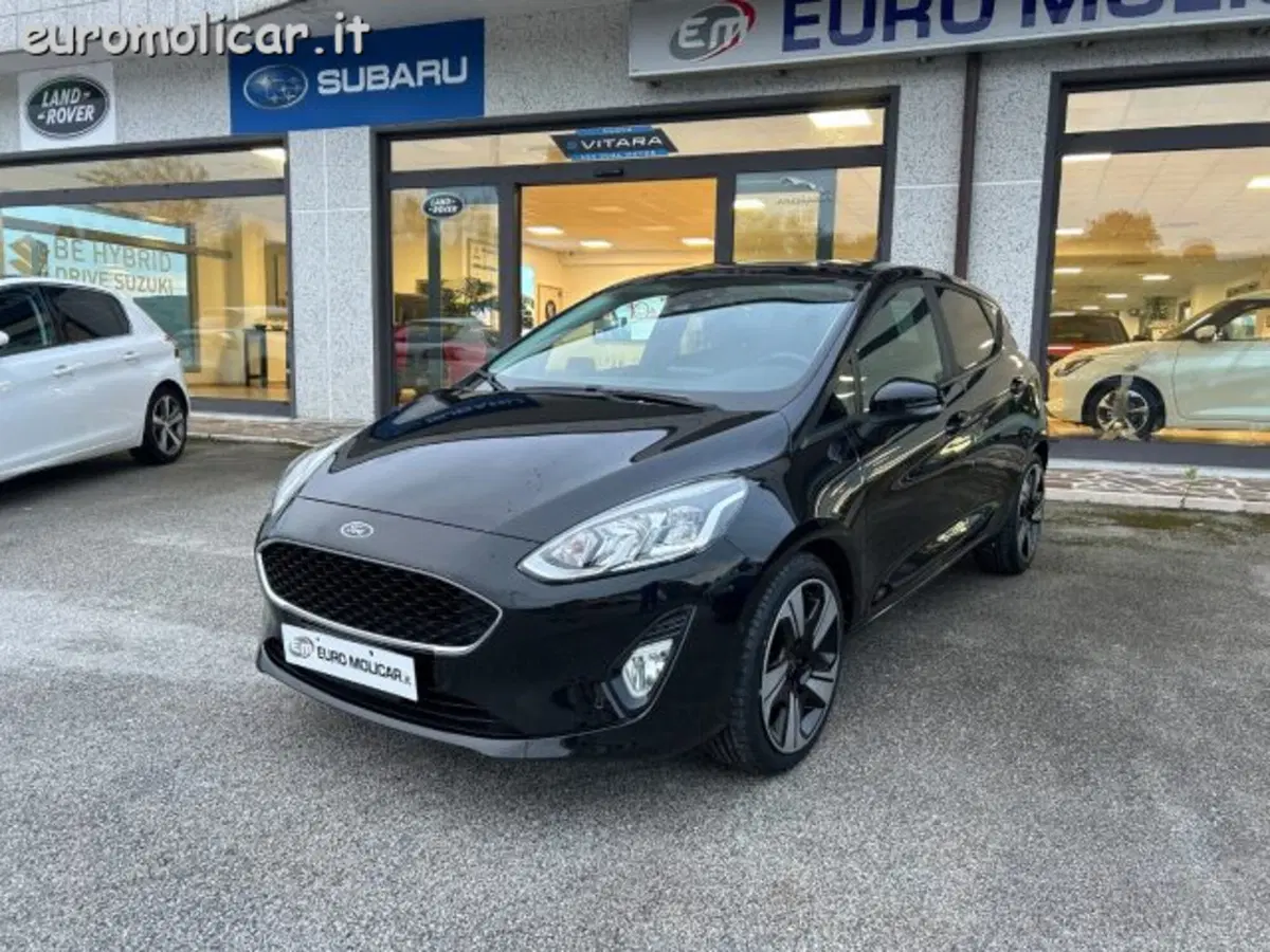 Ford Fiesta usata a Campobasso (12)