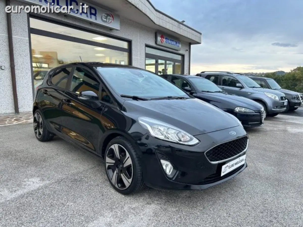 Ford Fiesta usata a Campobasso (2)