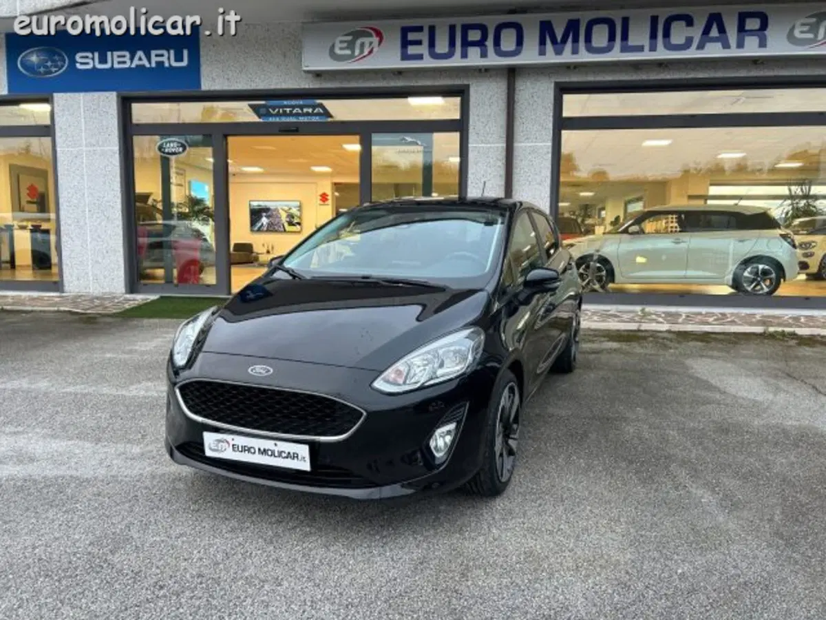 Ford Fiesta usata a Campobasso (3)