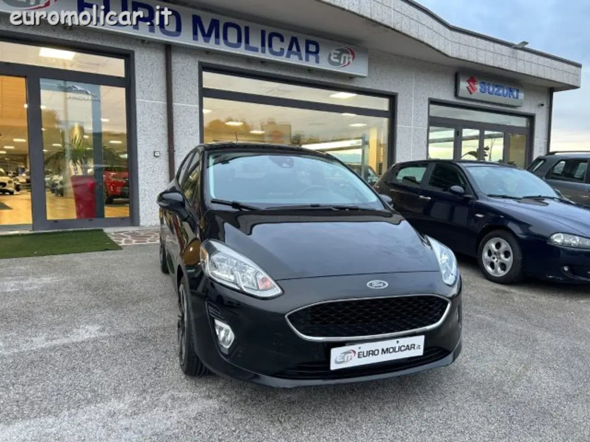 Ford Fiesta usata a Campobasso (5)