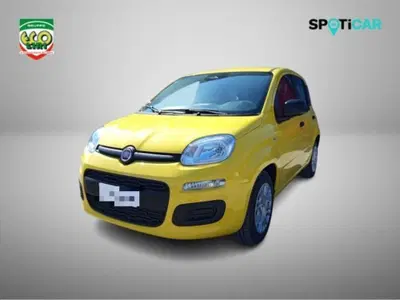 Fiat Pandina 1.0 firefly hybrid s&s 65cv nuova a San Giorgio a Liri