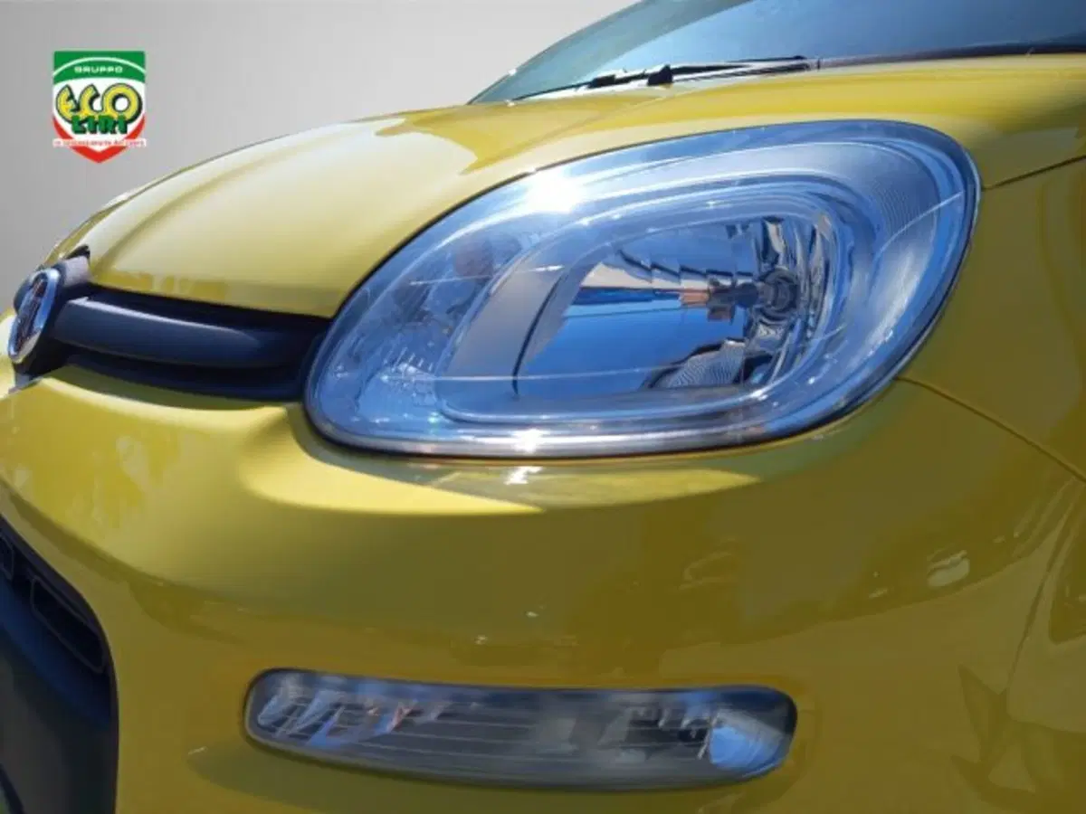 Fiat Pandina nuova a Frosinone (12)