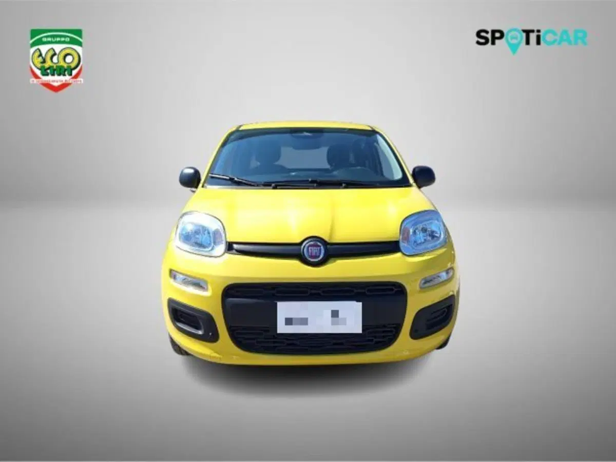 Fiat Pandina nuova a Frosinone (2)