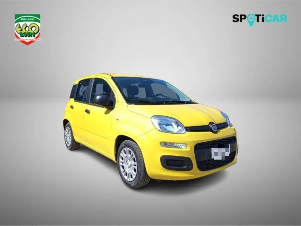 Fiat Pandina nuova a Frosinone (3)