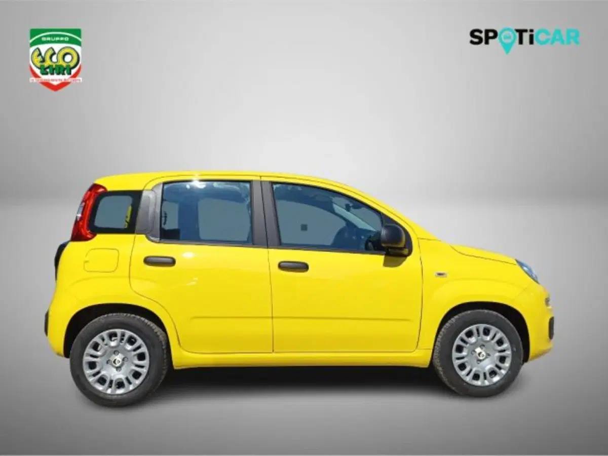 Fiat Pandina nuova a Frosinone (4)