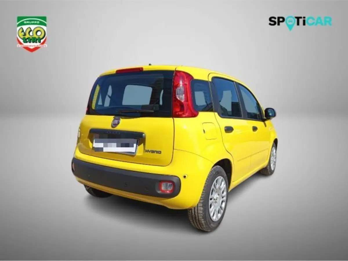 Fiat Pandina nuova a Frosinone (5)