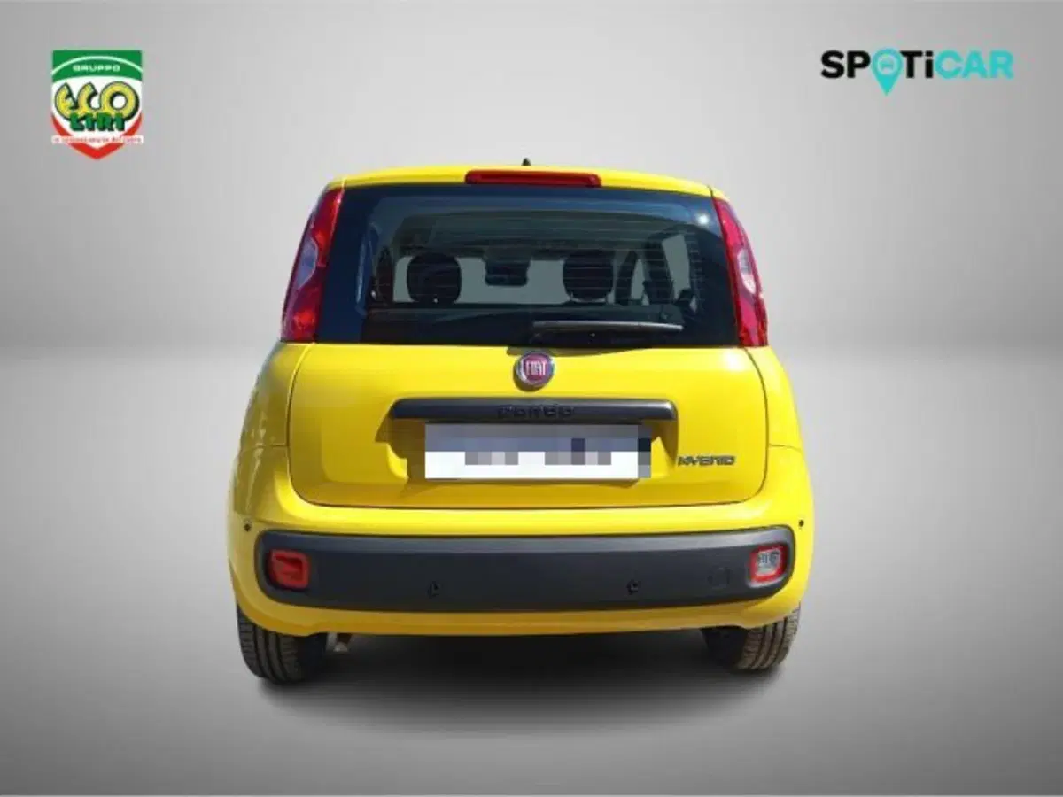Fiat Pandina nuova a Frosinone (6)