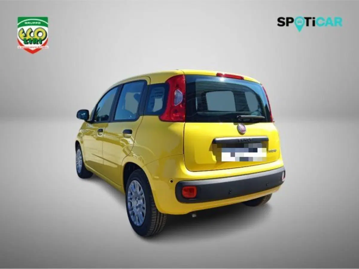 Fiat Pandina nuova a Frosinone (7)