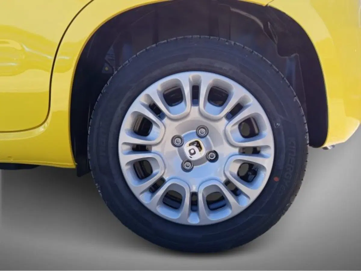Fiat Pandina nuova a Frosinone (8)