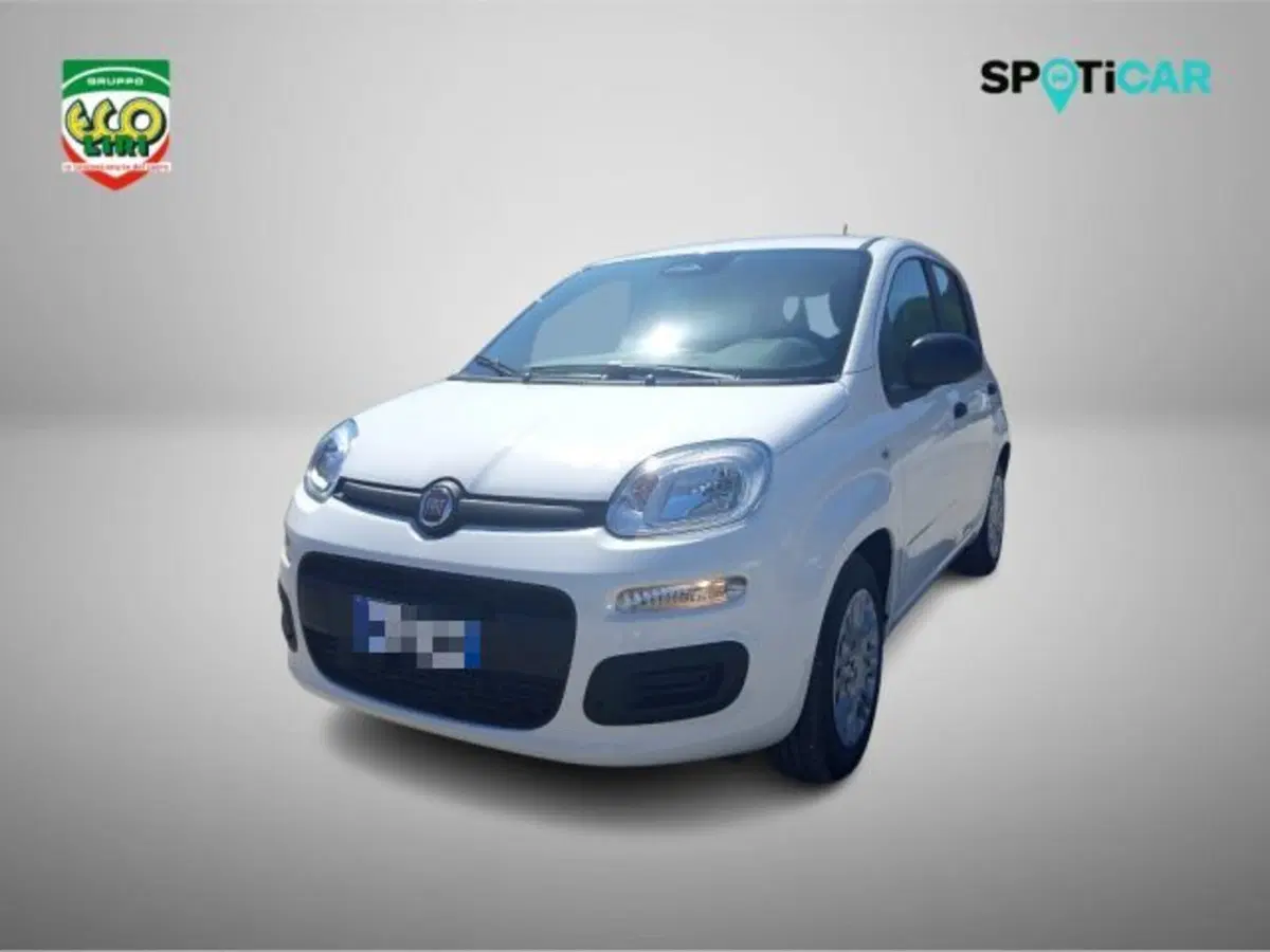 Fiat Pandina nuova a Frosinone