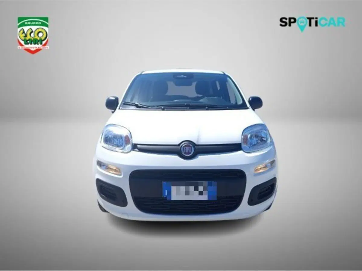 Fiat Pandina nuova a Frosinone (2)