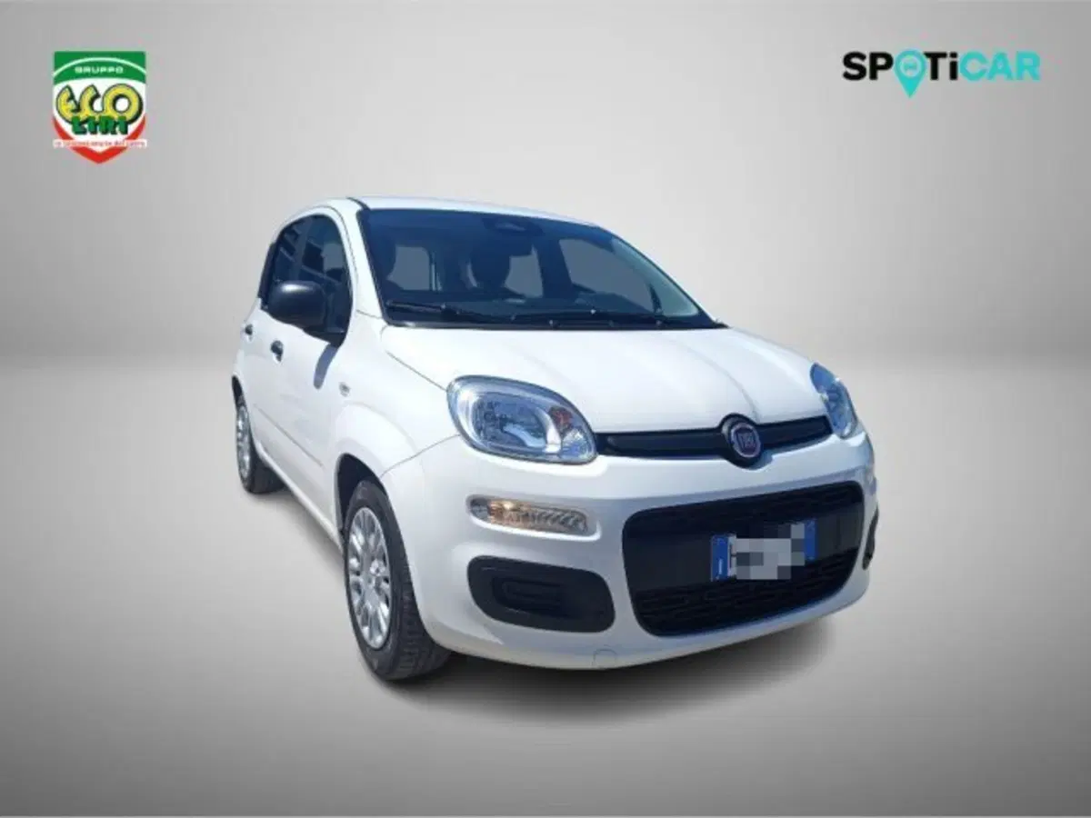 Fiat Pandina nuova a Frosinone (3)