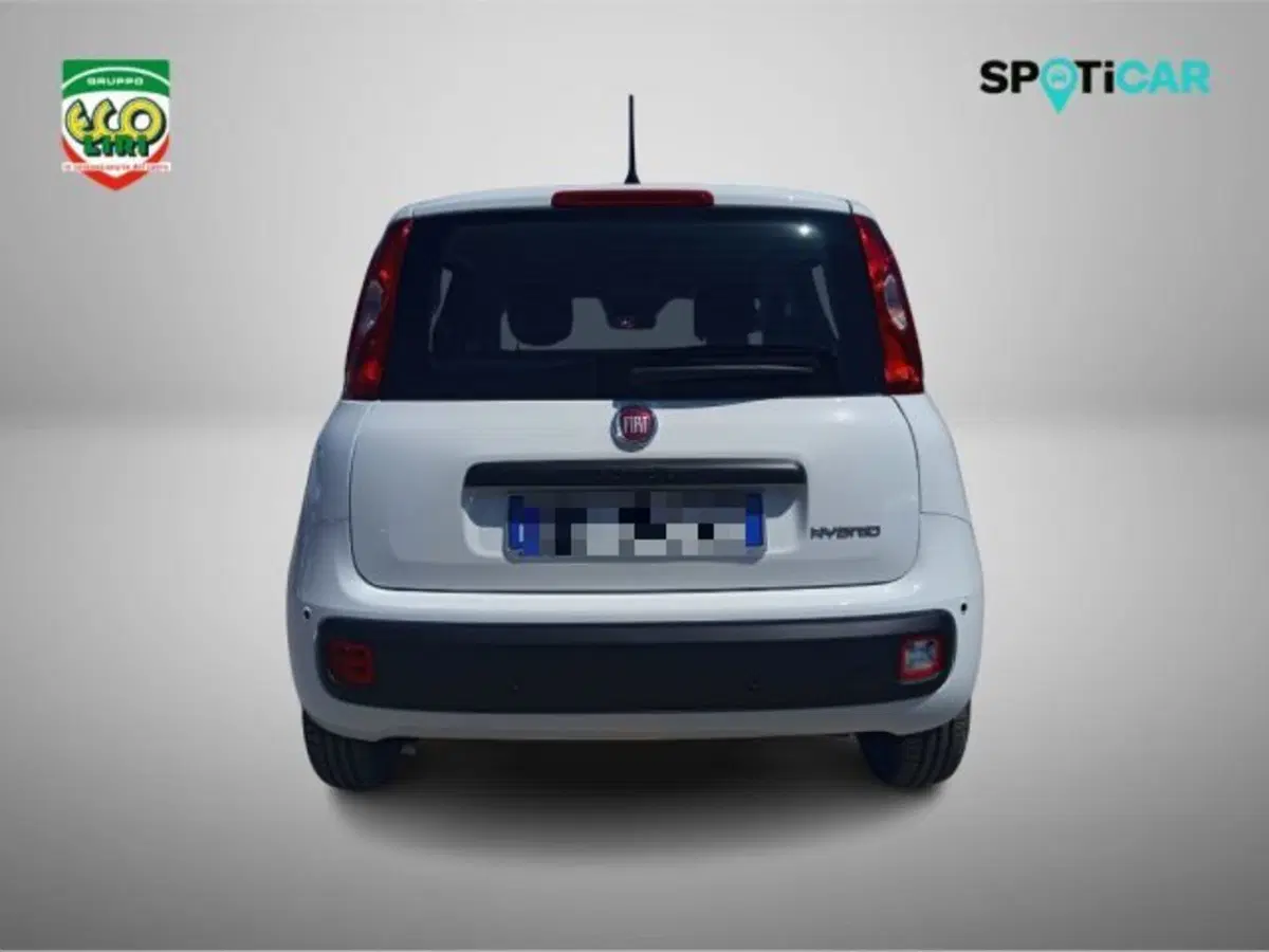 Fiat Pandina nuova a Frosinone (5)