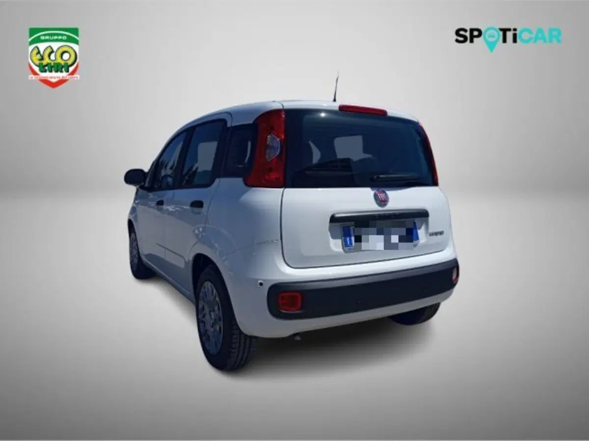 Fiat Pandina nuova a Frosinone (7)