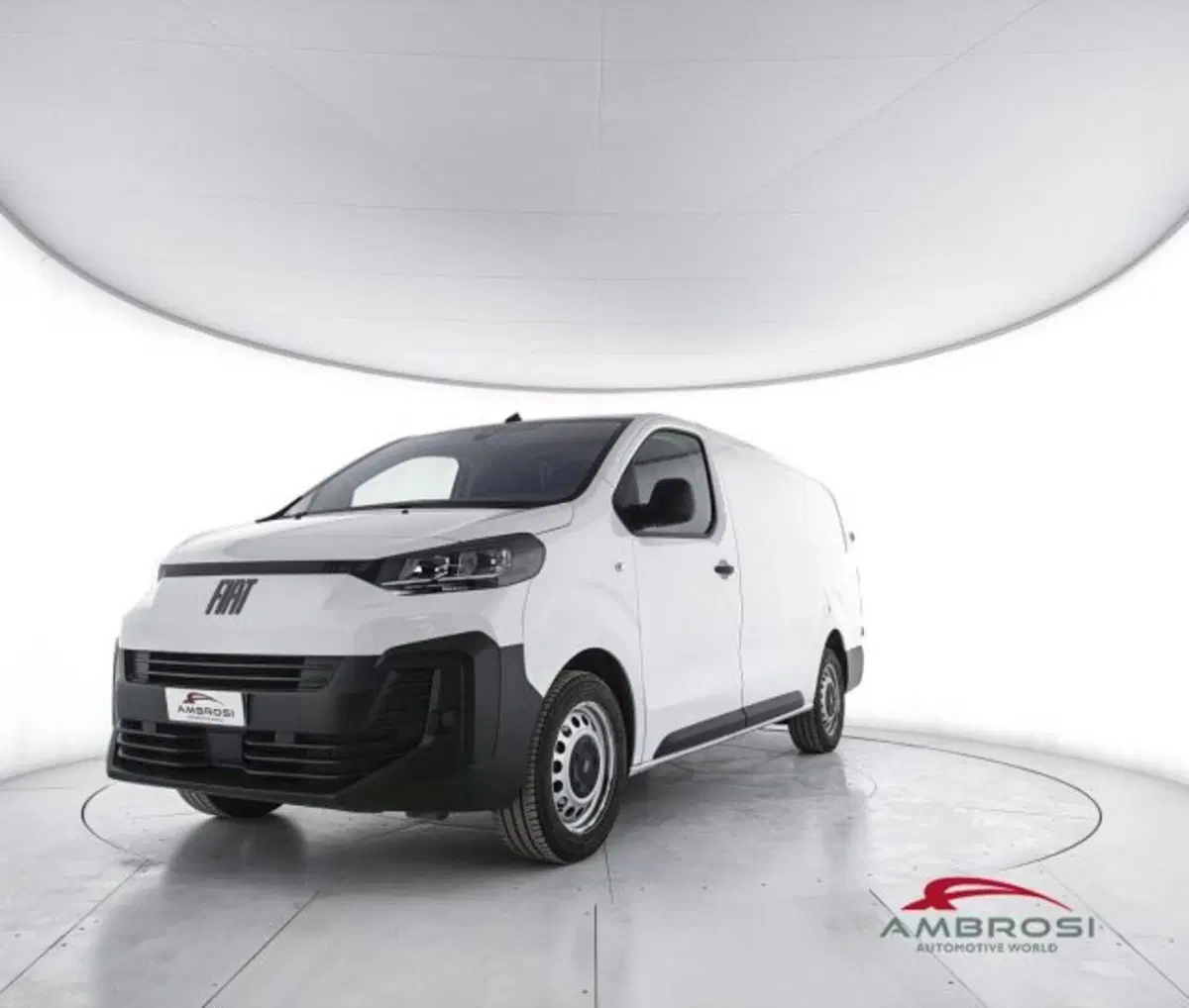 Fiat Scudo Furgone usata a Perugia
