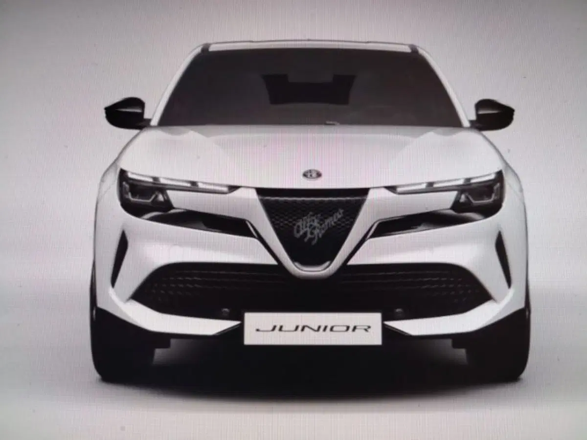 Alfa Romeo Junior nuova a Forlì-Cesena (3)