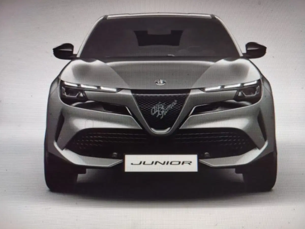 Alfa Romeo Junior nuova a Forlì-Cesena (5)