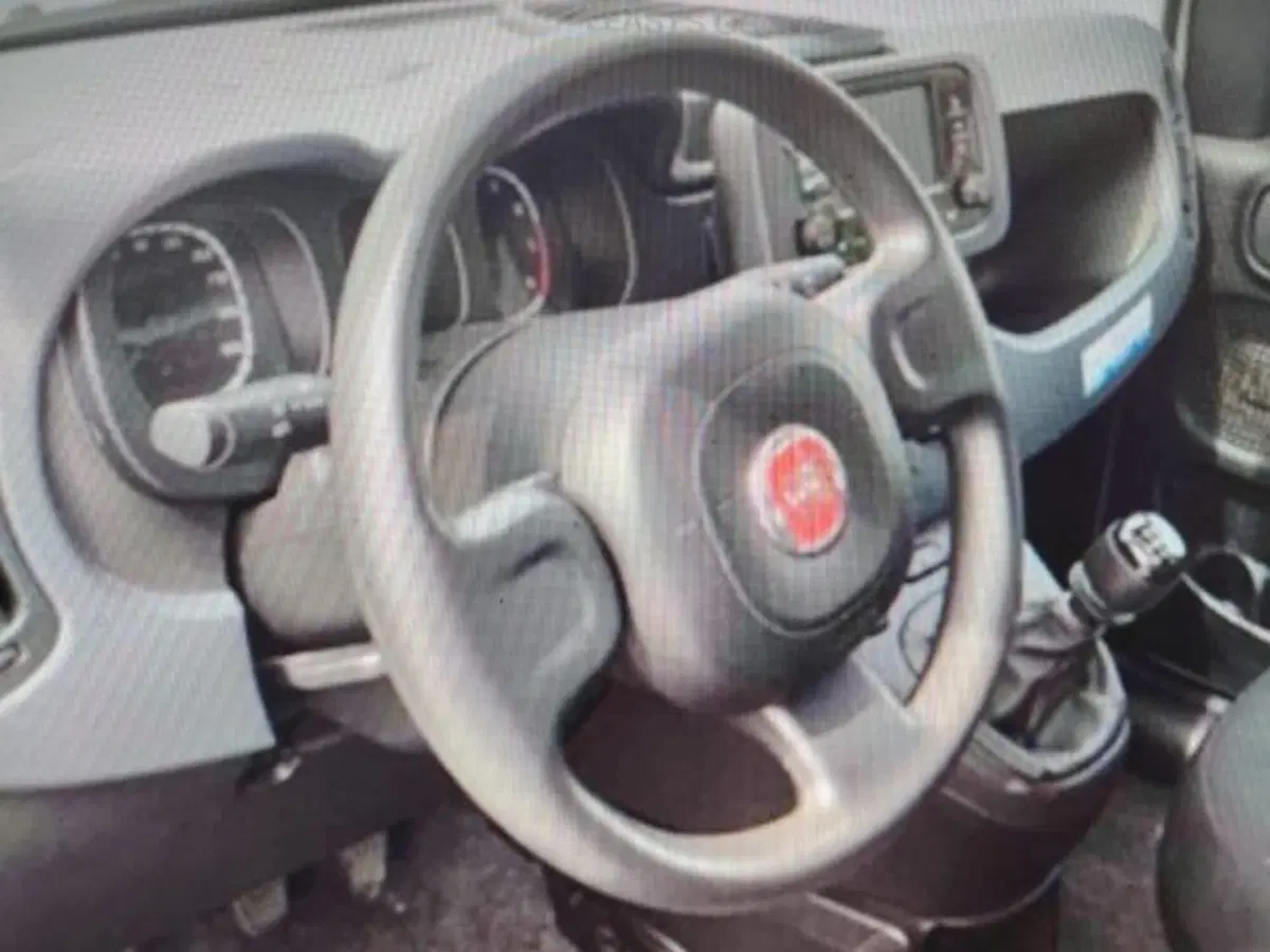 Fiat Panda usata a Forlì-Cesena (5)