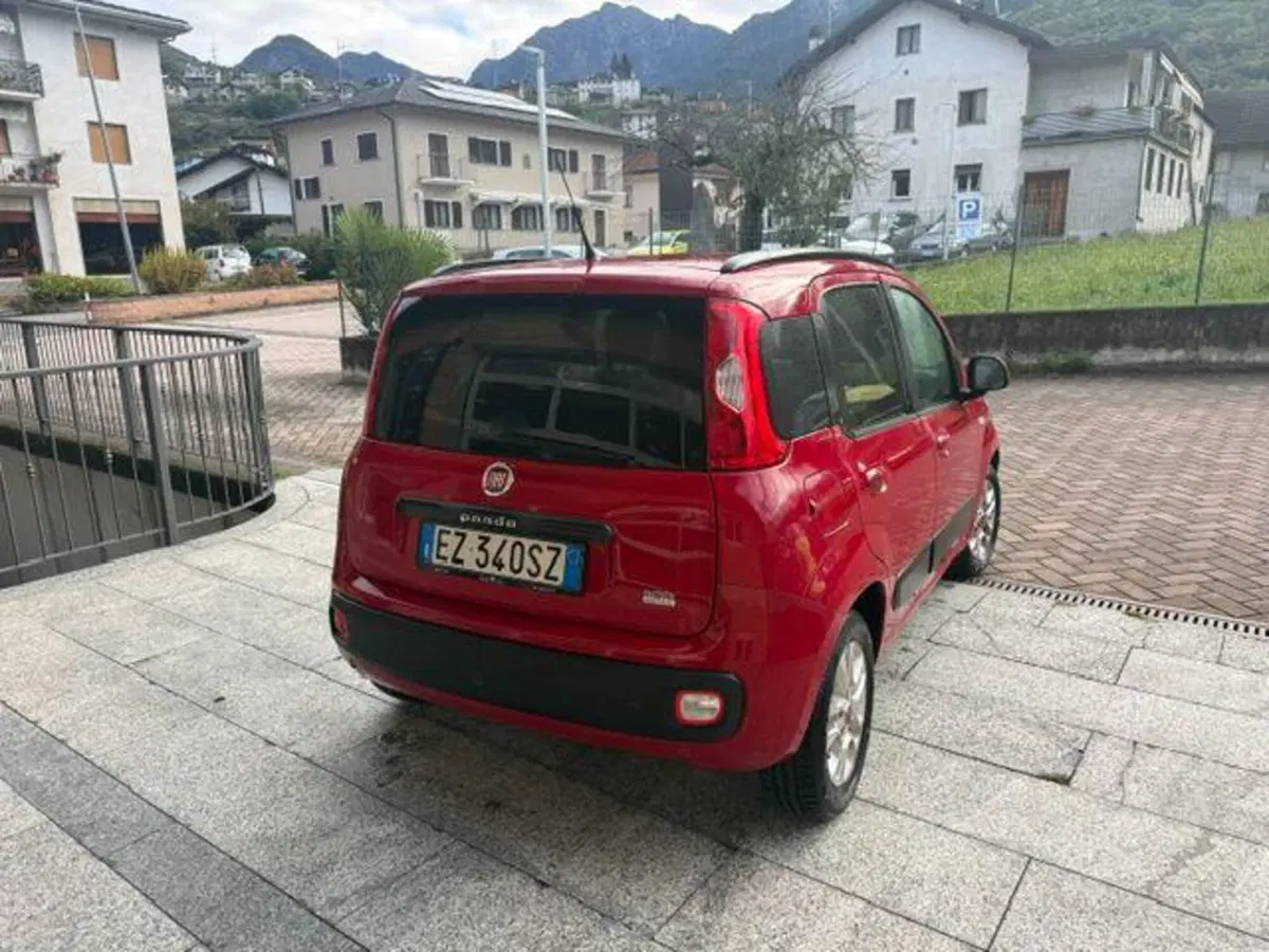 Fiat Panda usata a Verbano Cusio Ossola (4)