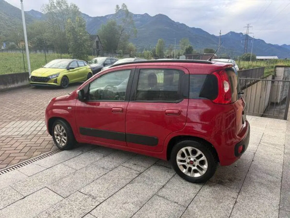 Fiat Panda usata a Verbano Cusio Ossola (6)