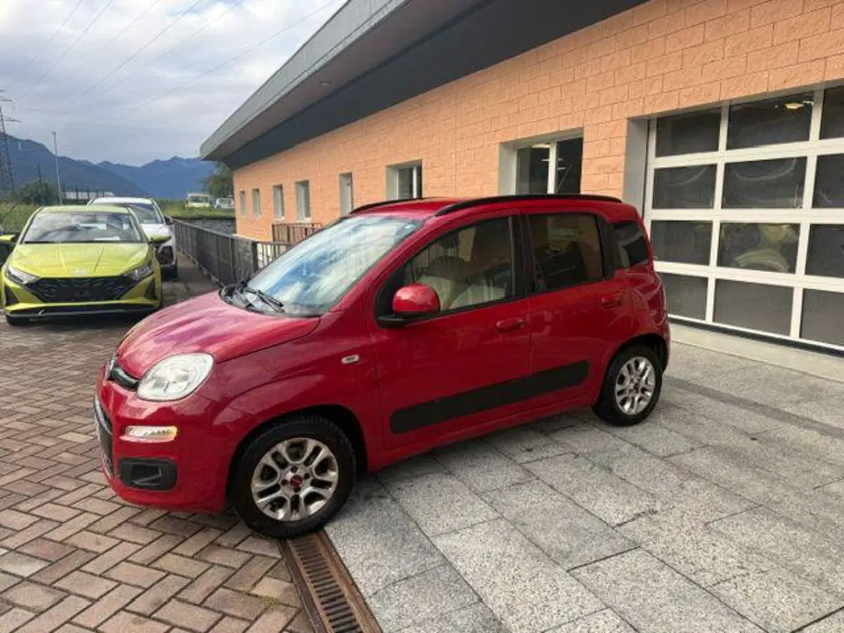 Fiat Panda usata a Verbano Cusio Ossola (7)