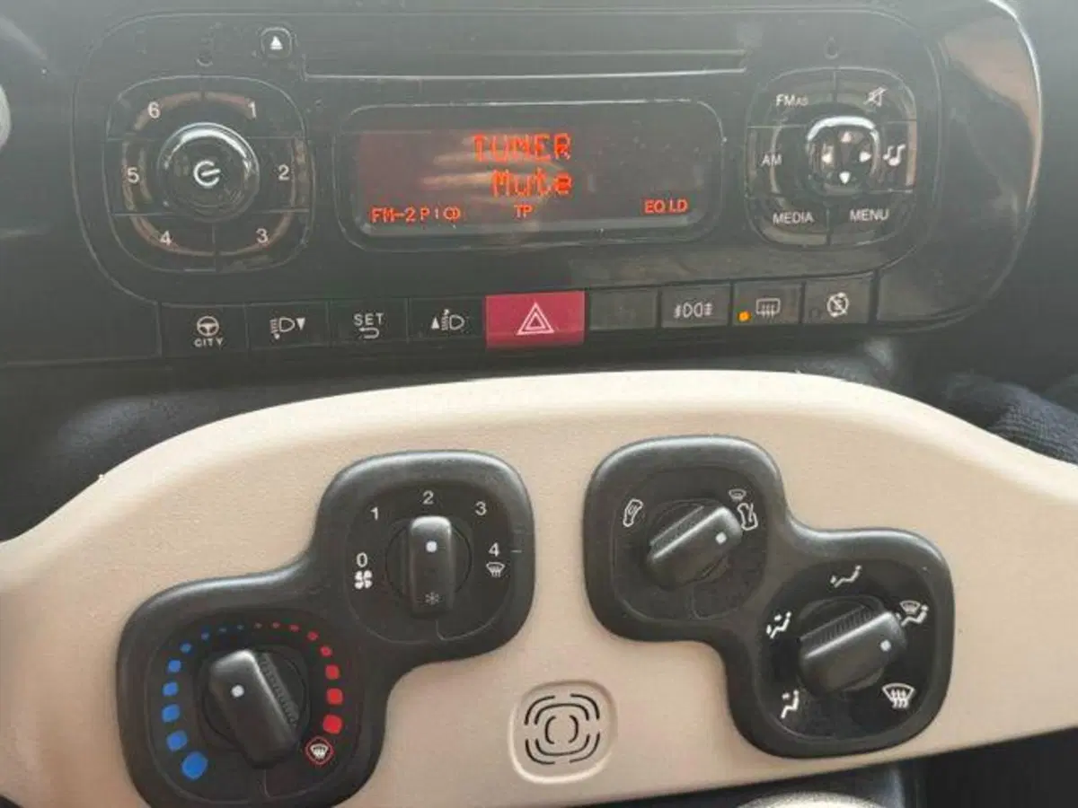 Fiat Panda usata a Verbano Cusio Ossola (8)