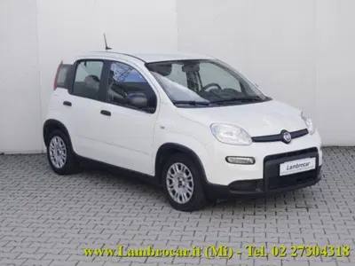 Fiat Panda 1.0 firefly hybrid s&s 70cv 5p.ti del 2024 usata a Cologno Monzese